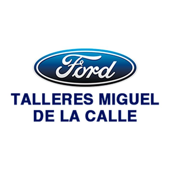 TALLERES MIGUEL DE LA CALLE