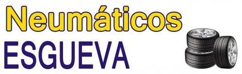 logo neumaticos esgueva