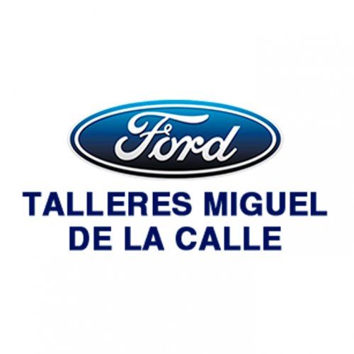 TALLERES MIGUEL DE LA CALLE