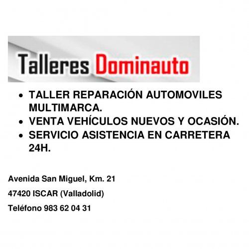 TALLERES DOMINAUTO, S.L.